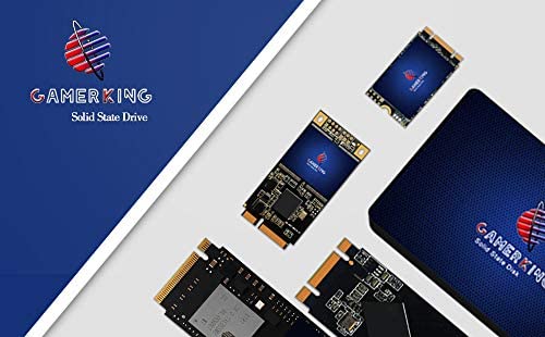 Amazon.com: GAMERKING M.2 2242 SSD 256GB 3D NAND TLC SATA III 6 Gb